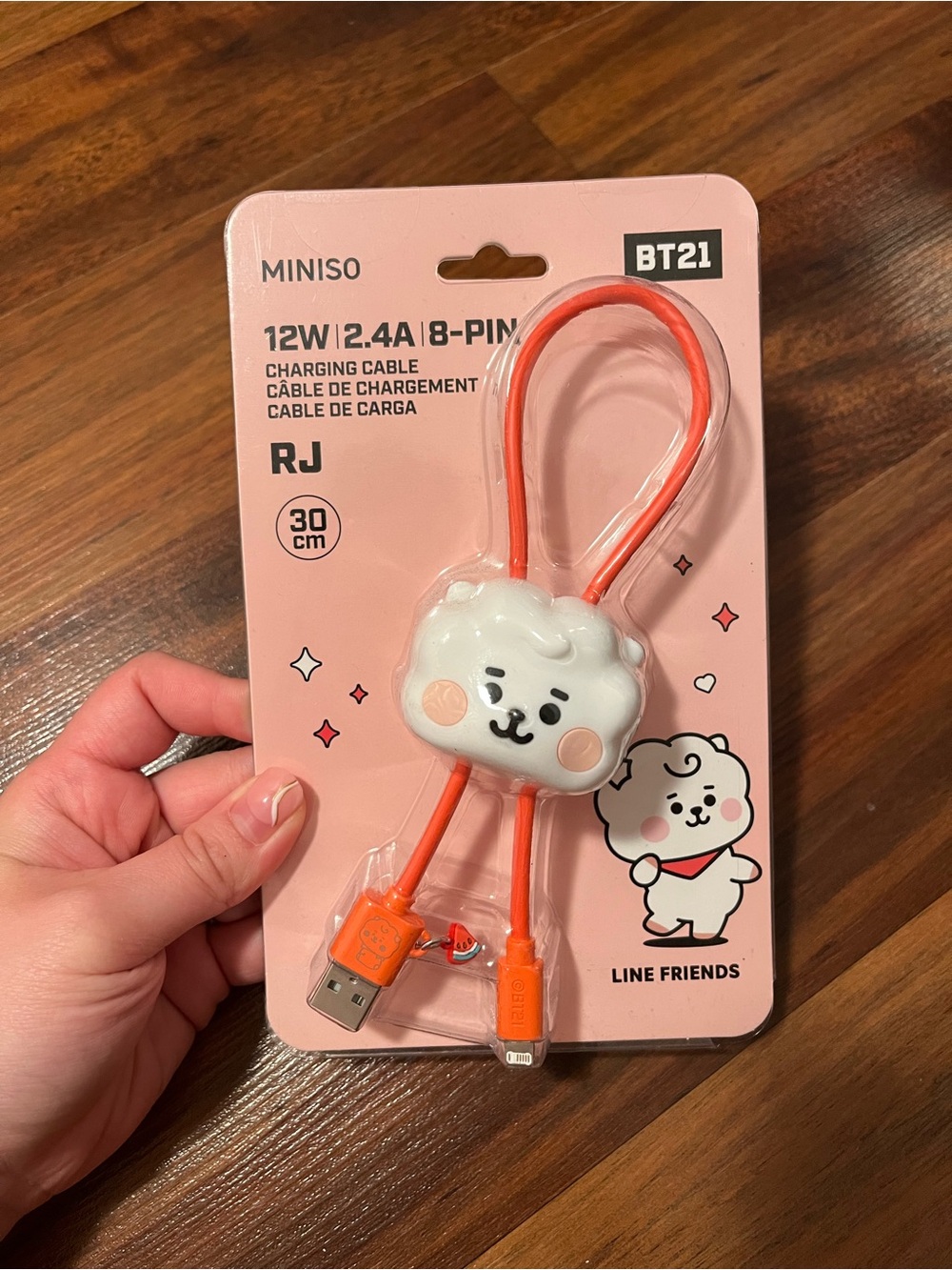 NWT RJ BT21 Line Friends Miniso 30 cm Charging Cable